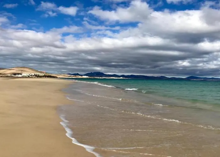 Welooveyou Top Seaside *