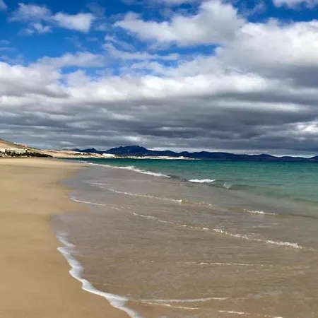 Welooveyou Top Seaside *